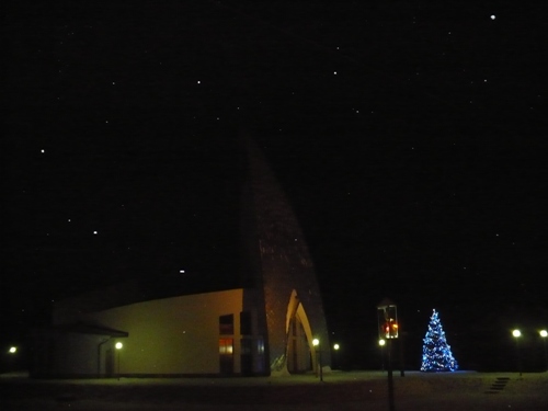 Tohoročný vianočný stromček v Plavnici